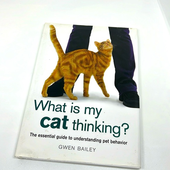 What is my cat Thinking by Gwen Bailey Hardback Book - Picture 1 of 11